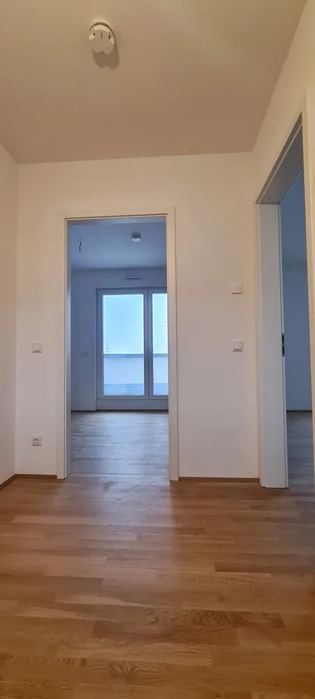 2 Zimmer Wohnung mit 52 m² in Dresden – Bild 2