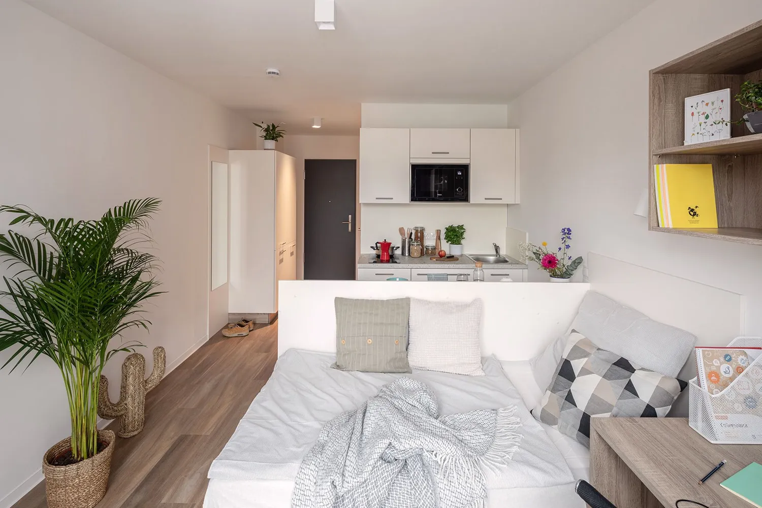 1 Zimmer Wohnung mit 22 m² in Freiburg im Breisgau – Bild 1