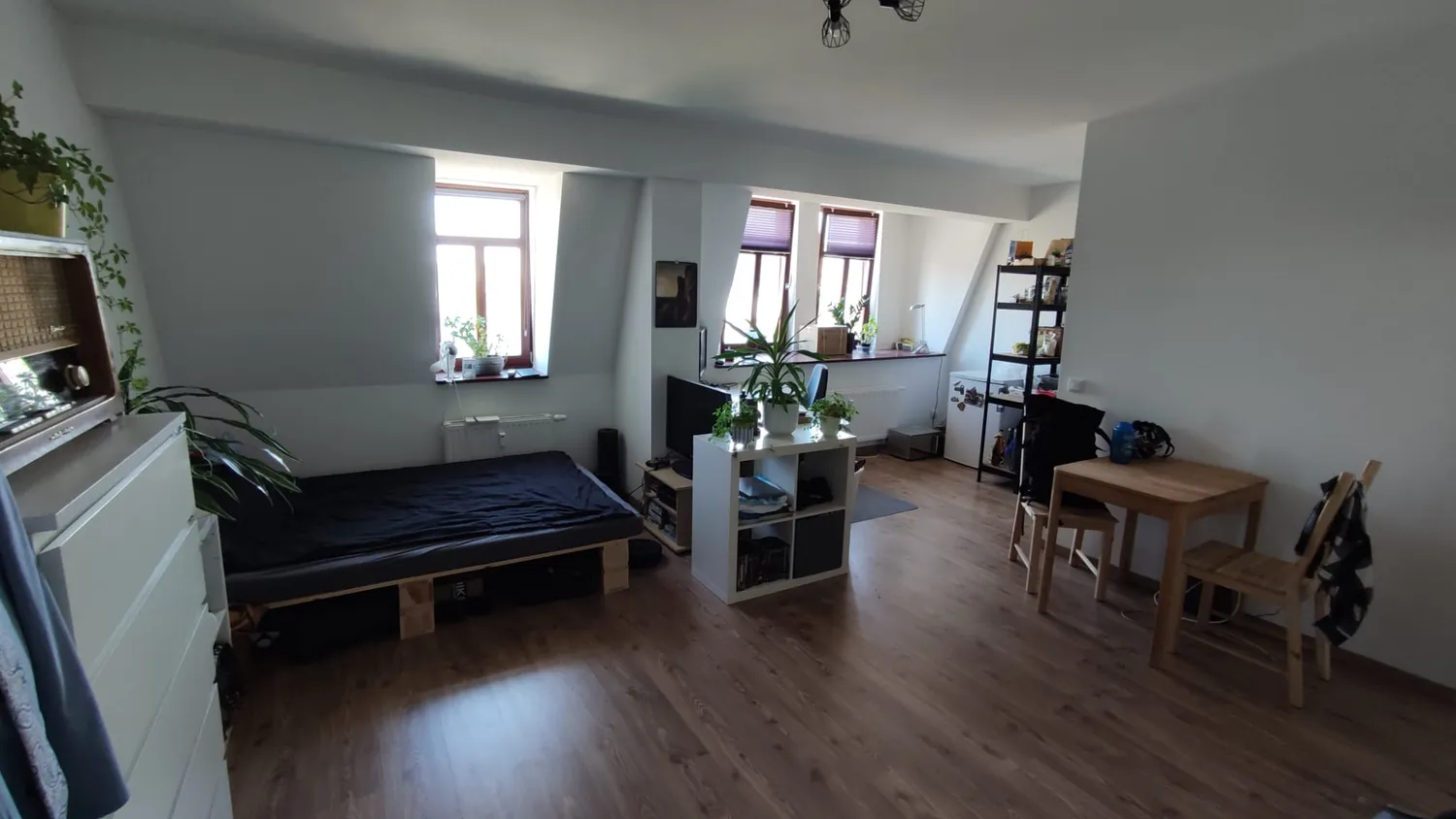 1 Zimmer Wohnung mit 38 m² in Dresden – Bild 1