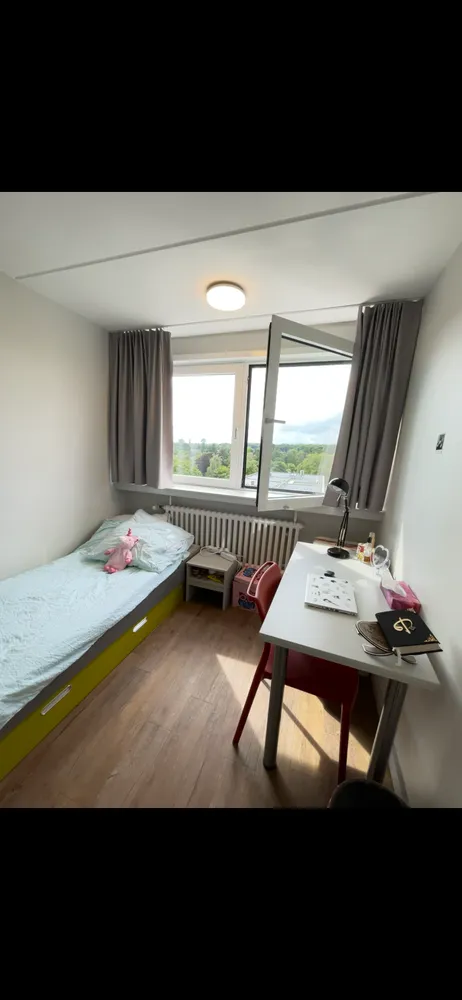 1 Zimmer Wohnung mit 24 m² in Kiel – Bild 1