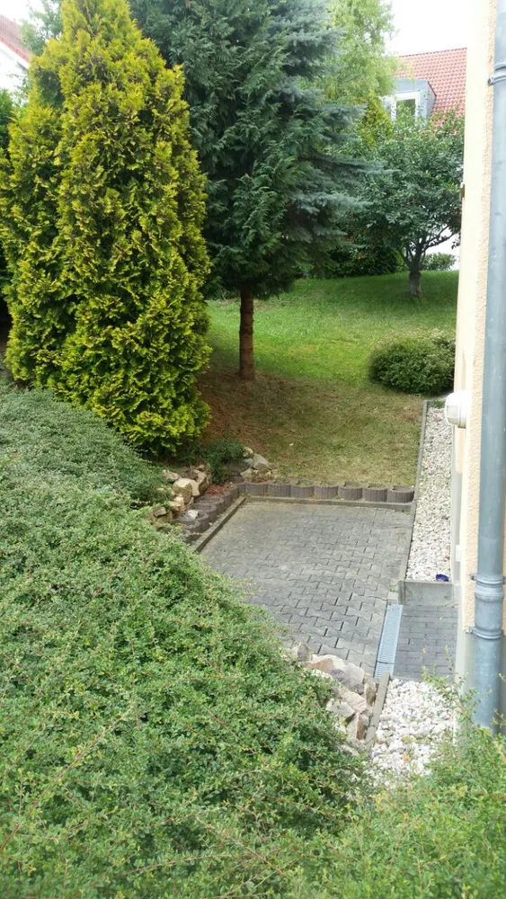 2 room apartment with 62 m² in Altenburg – Photo 7