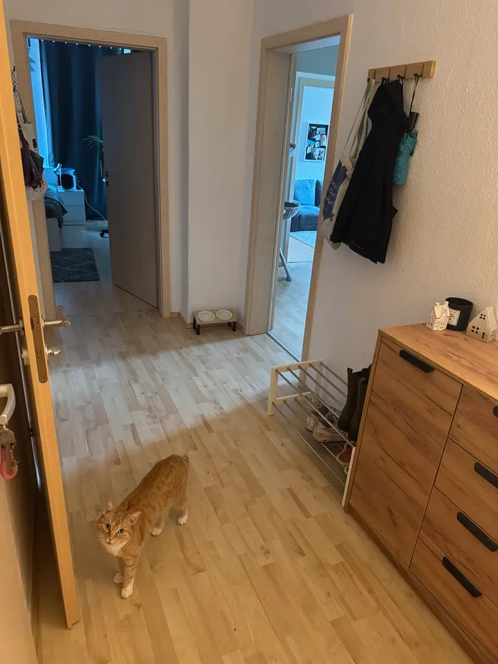 3 Zimmer Wohnung mit 71 m² in Zwickau – Bild 5