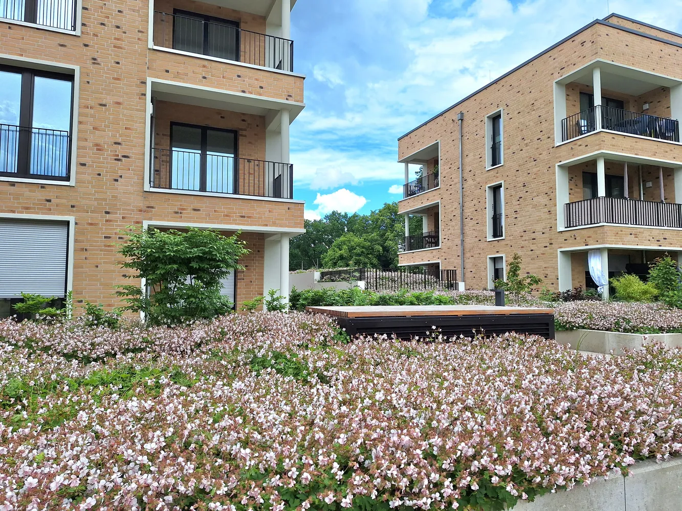 2 Zimmer Wohnung mit 75 m² in Osnabrück – Bild 3