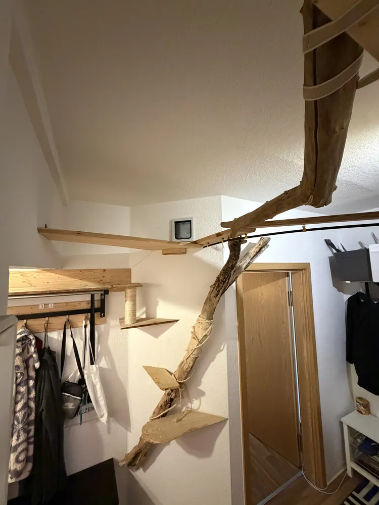 5 Zimmer Wohnung mit 126 m² in Chemnitz – Bild 6