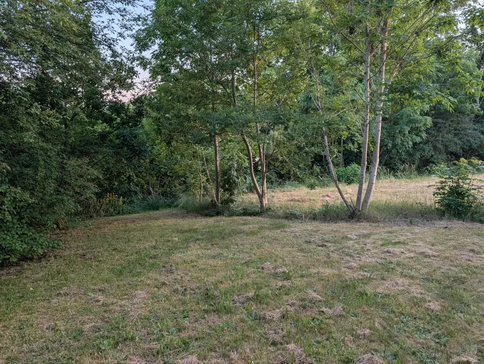 3 Zimmer Wohnung mit 68 m² in Hof – Bild 9