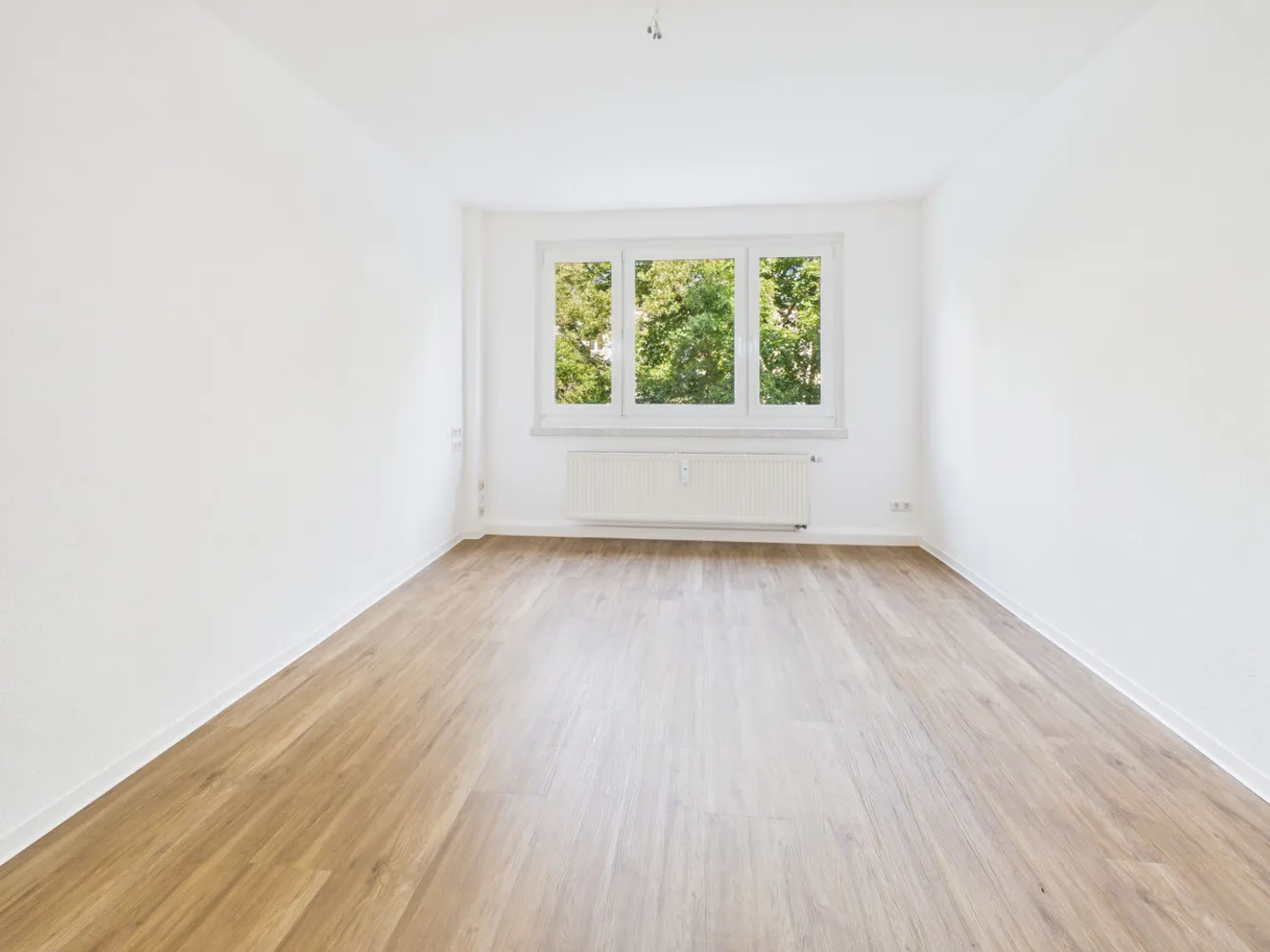 2 room apartment with 47 m² in Chemnitz – Photo 4
