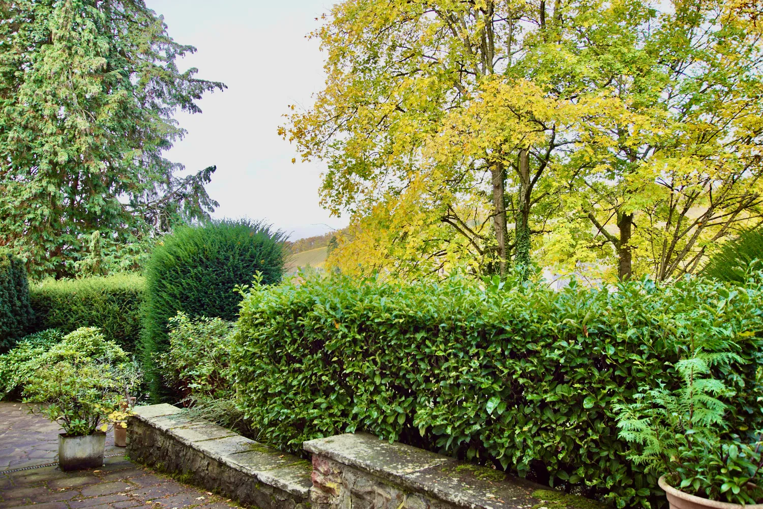 2 Zimmer Wohnung mit 80 m² in Wiesbaden – Bild 5