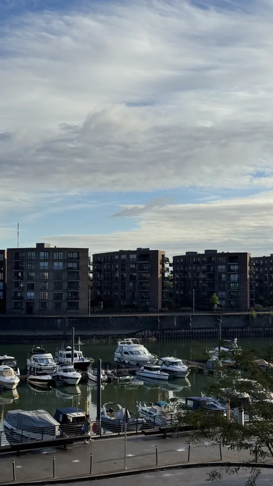 3 Zimmer Wohnung mit 83 m² in Mainz – Bild 12