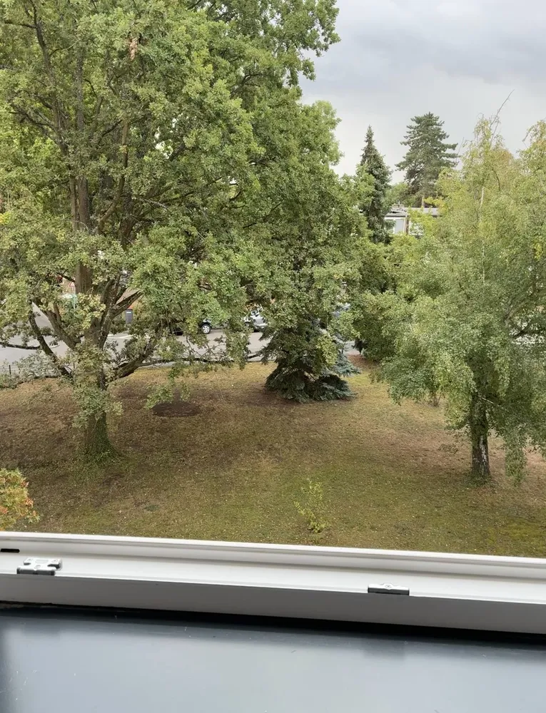 1 Zimmer Wohnung mit 30 m² in Mainz – Bild 8