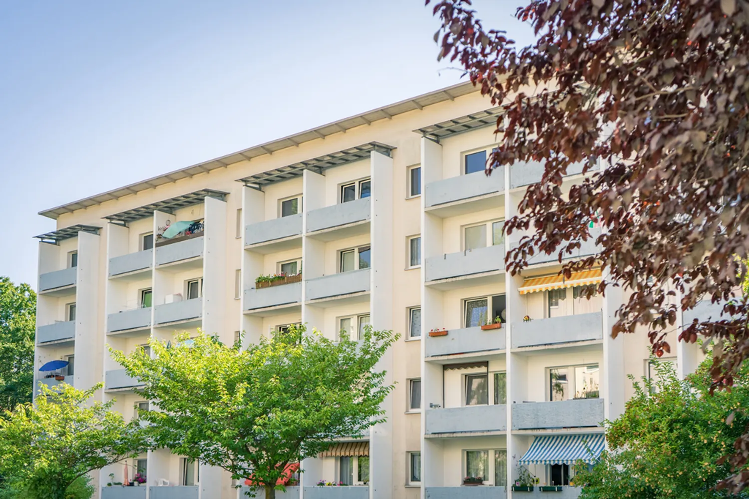 3 Zimmer Wohnung mit 56 m² in Chemnitz – Bild 2