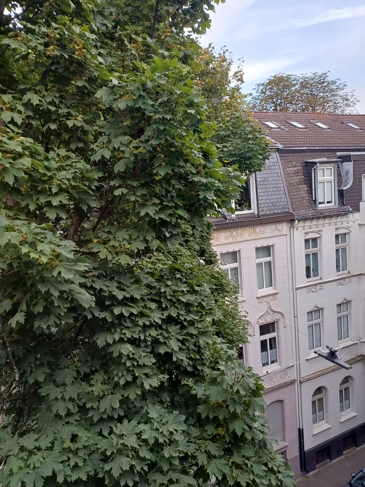 2 Zimmer Wohnung mit 50 m² in Wuppertal – Bild 4