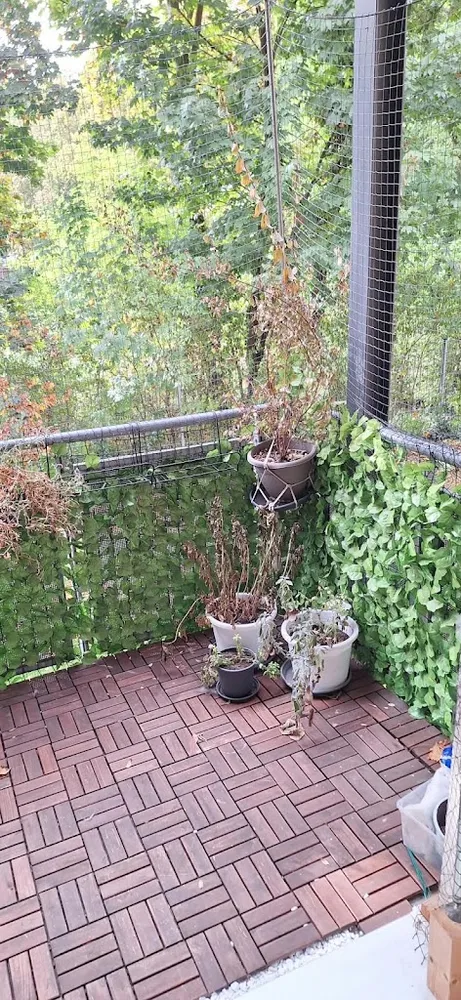3 Zimmer Wohnung mit 62 m² in Nürnberg – Bild 3