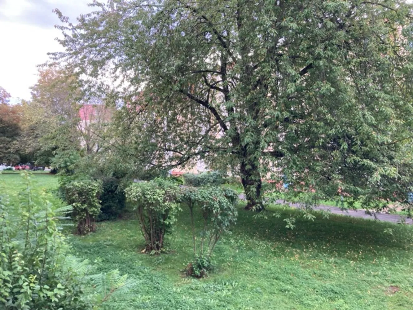 3 Zimmer Wohnung mit 50 m² in Weimar – Bild 1