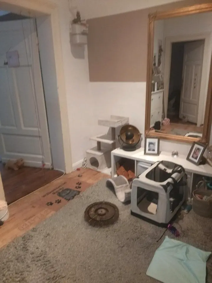 2 Zimmer Wohnung mit 63 m² in Braunschweig – Bild 7