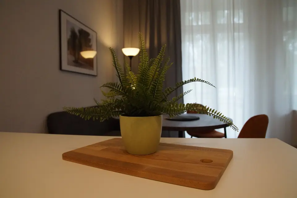 Shared room with 48 m² in Magdeburg – Photo 6