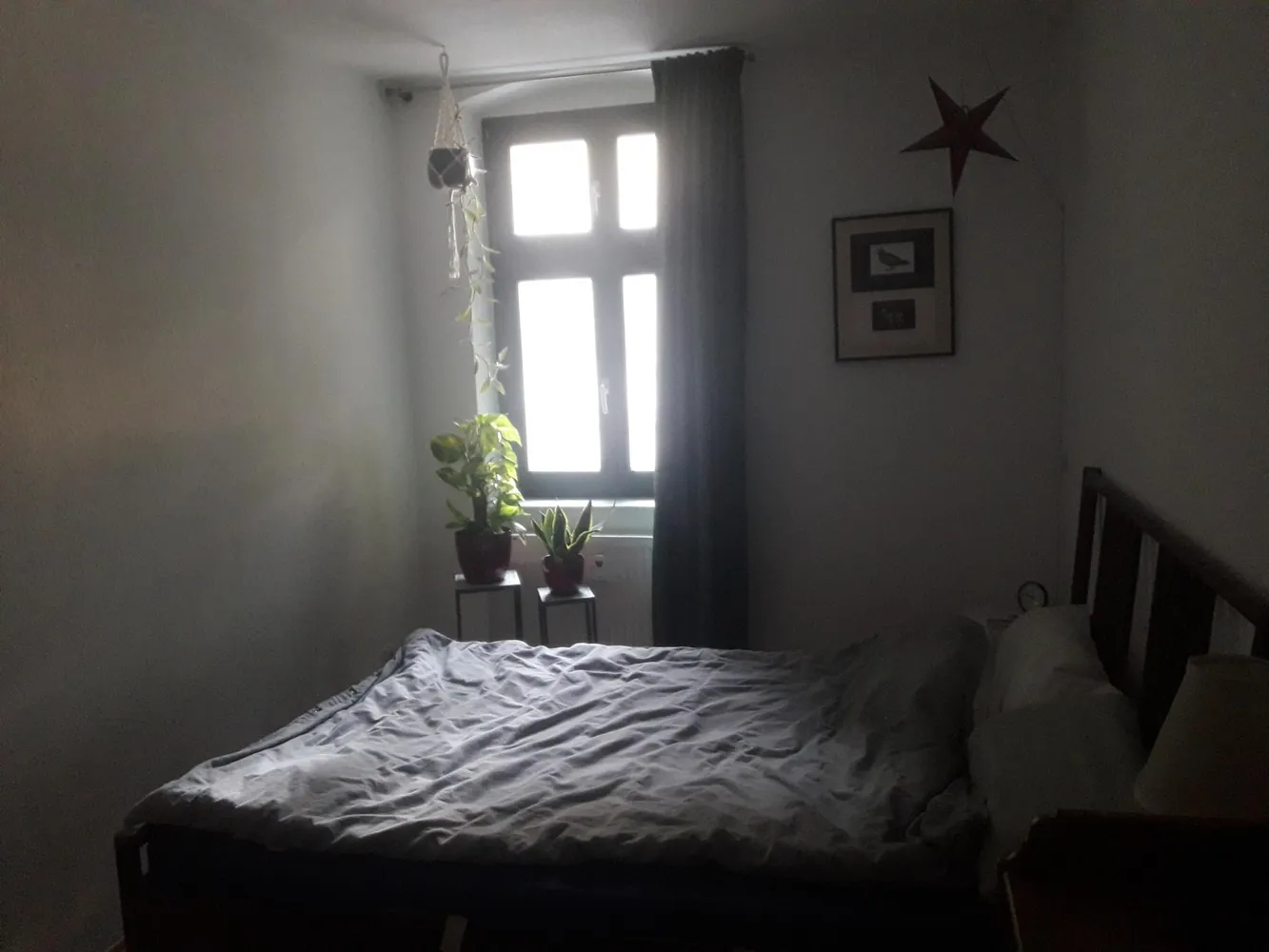 2 Zimmer Wohnung mit 49 m² in Magdeburg – Bild 2