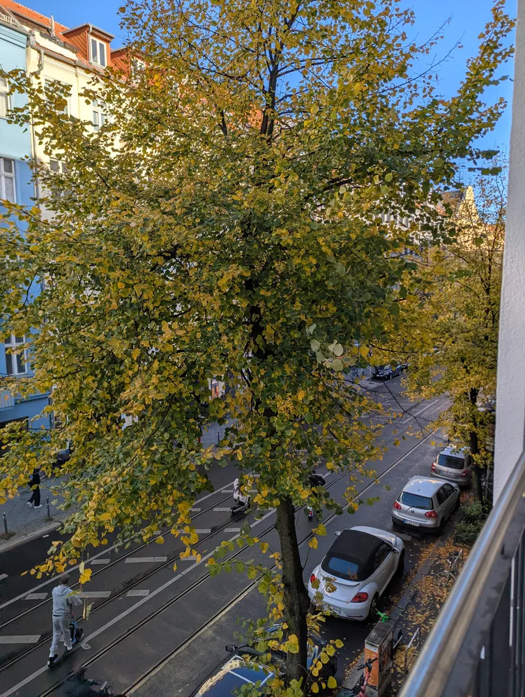 2 room apartment with 48 m² in Berlin – Photo 2