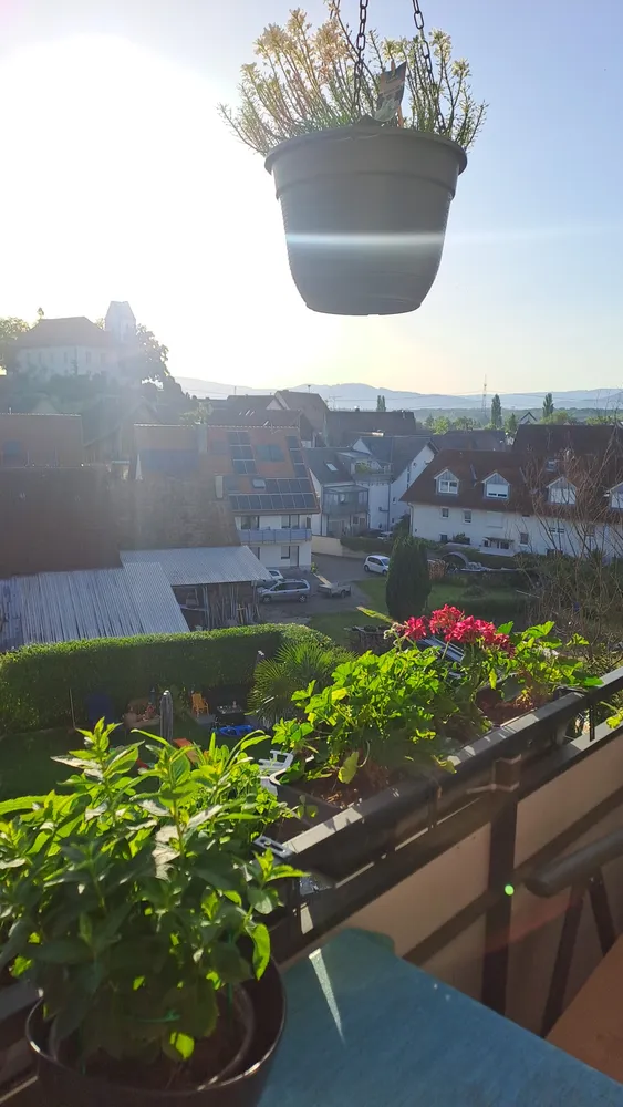 2 room apartment with 54 m² in Freiburg im Breisgau – Photo 2