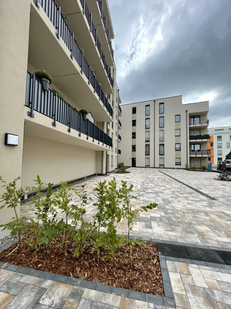 3 Zimmer Wohnung mit 75 m² in Delitzsch – Bild 2