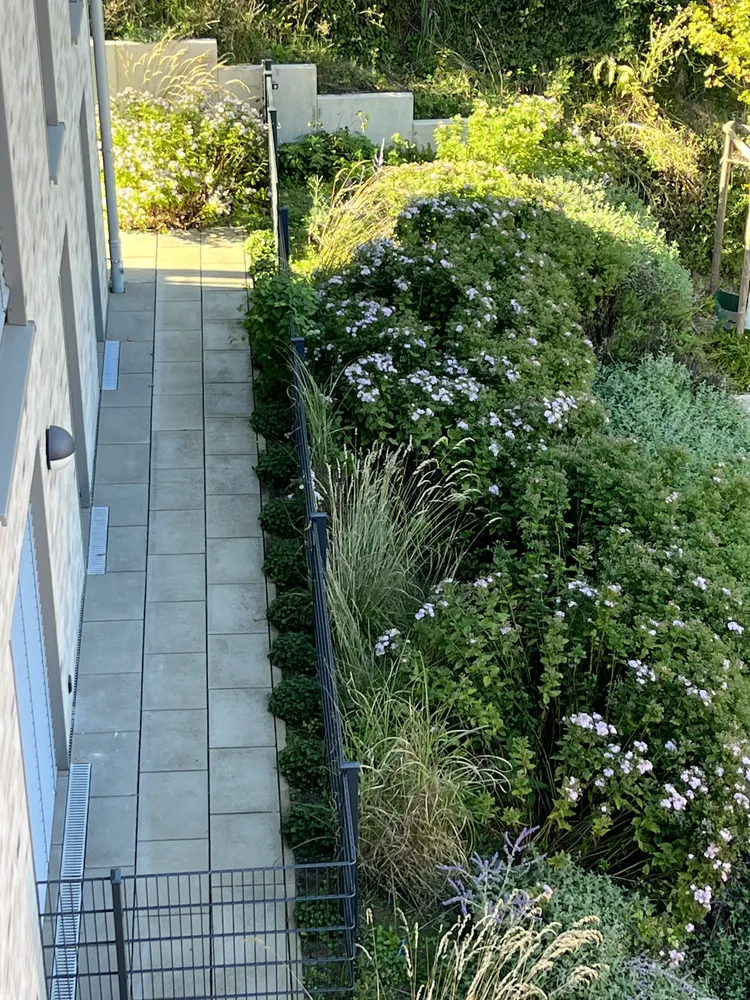 4 Zimmer Wohnung mit 119 m² in Frechen – Bild 10