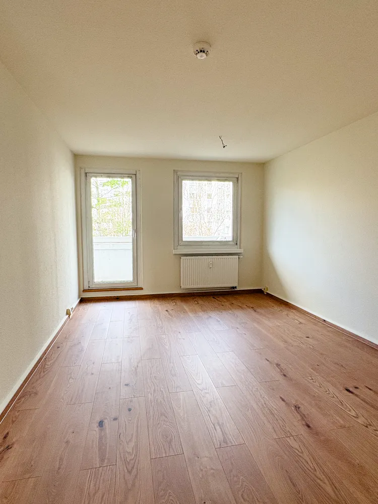2 Zimmer Wohnung mit 65 m² in Dresden – Bild 1