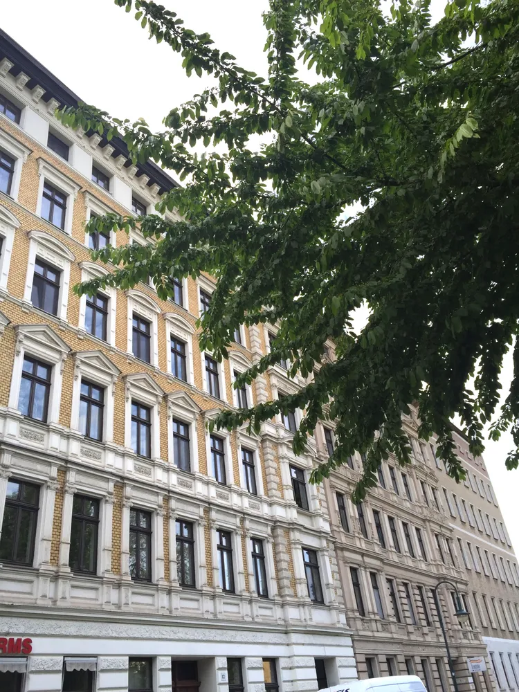 3 room apartment with 103 m² in Magdeburg – Photo 8