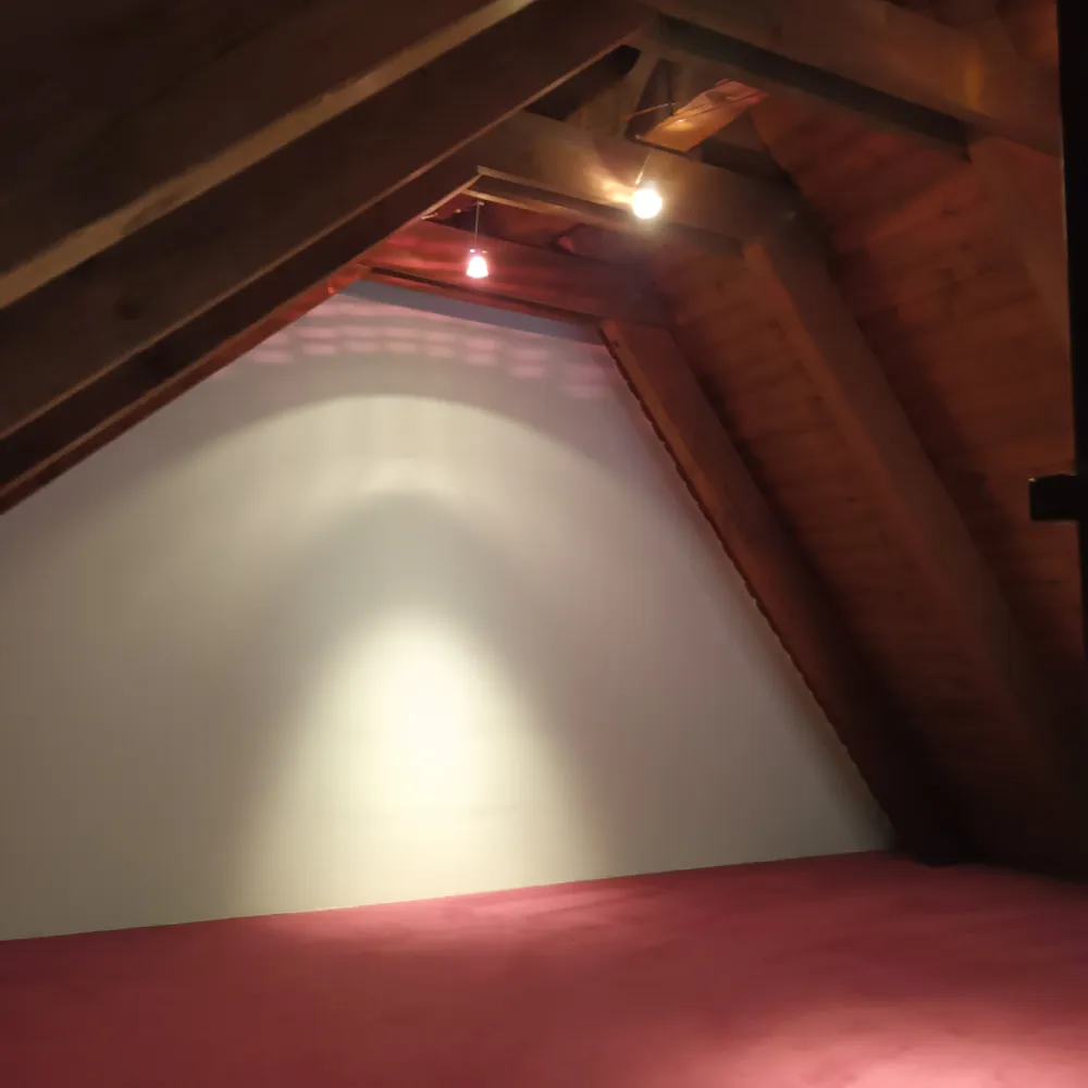 2 Zimmer Wohnung mit 63 m² in Frankenthal (Pfalz) – Bild 2