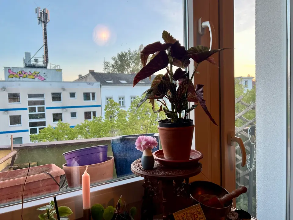WG-Zimmer mit 38 m² in Berlin – Bild 9