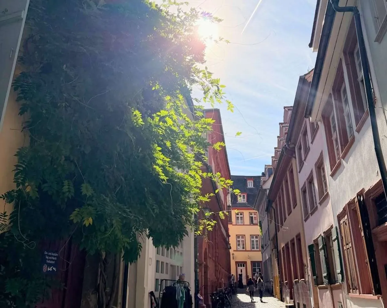 3 Zimmer Wohnung mit 90 m² in Heidelberg – Bild 10