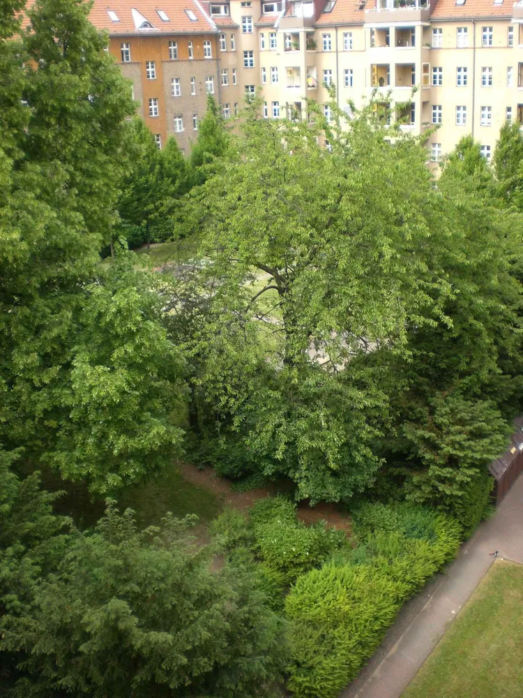 2 Zimmer Wohnung mit 49 m² in Berlin – Bild 2