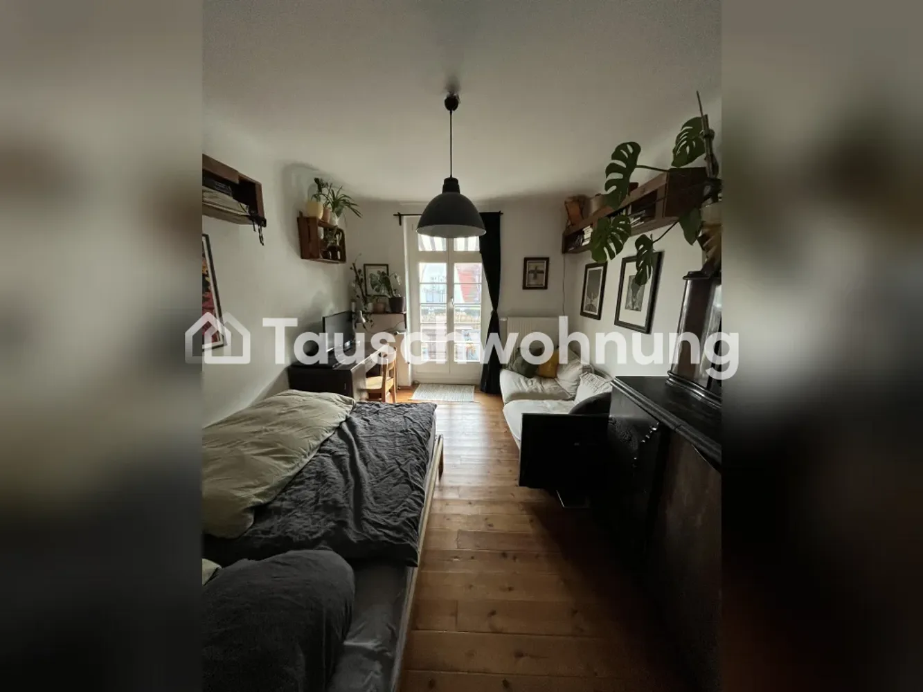 2 room apartment with 50 m² in Dresden – Photo 2