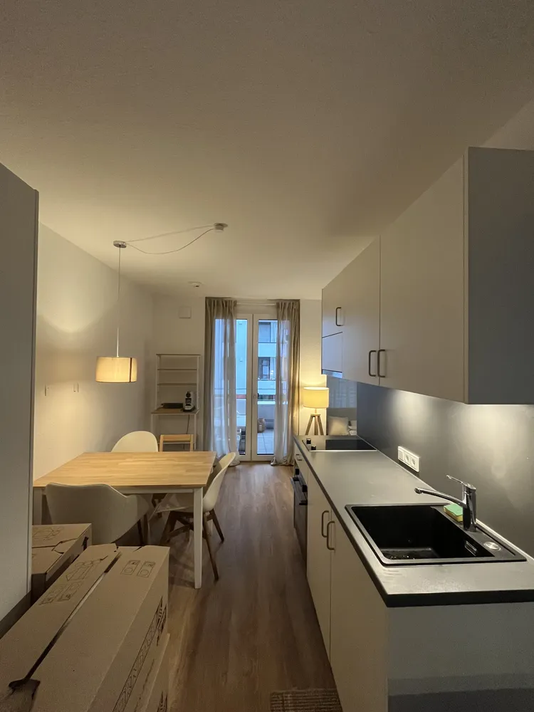 1 room apartment with 30 m² in Freiburg im Breisgau – Photo 1