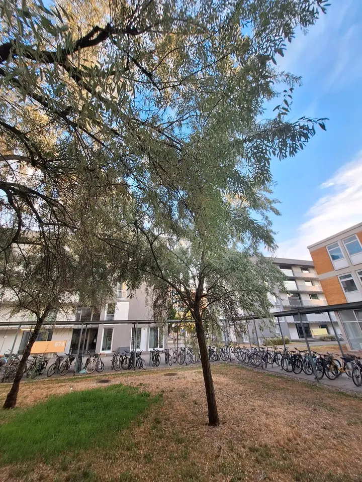 WG-Zimmer mit 15 m² in Heidelberg – Bild 7