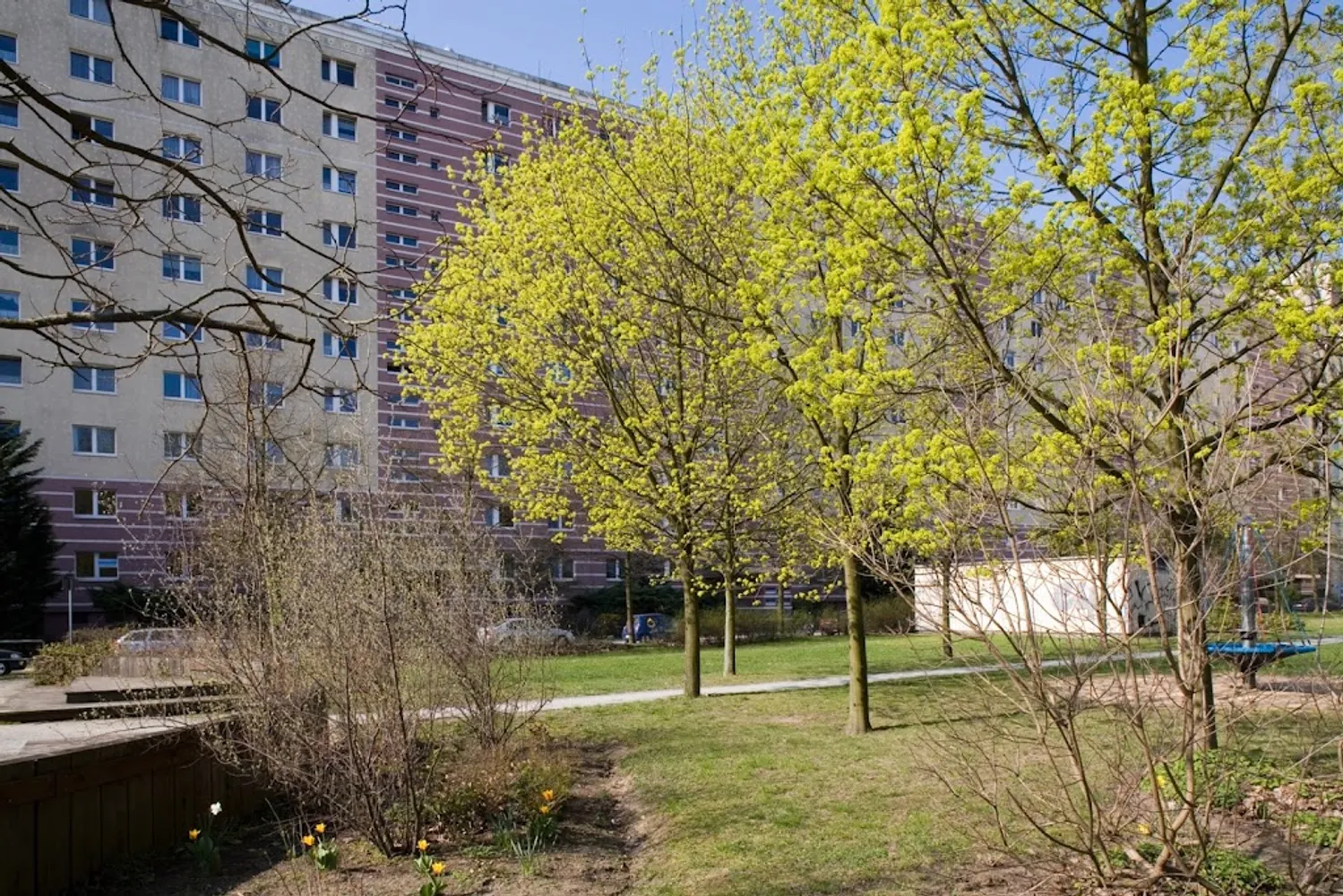 2 Zimmer Wohnung mit 55 m² in Berlin – Bild 3