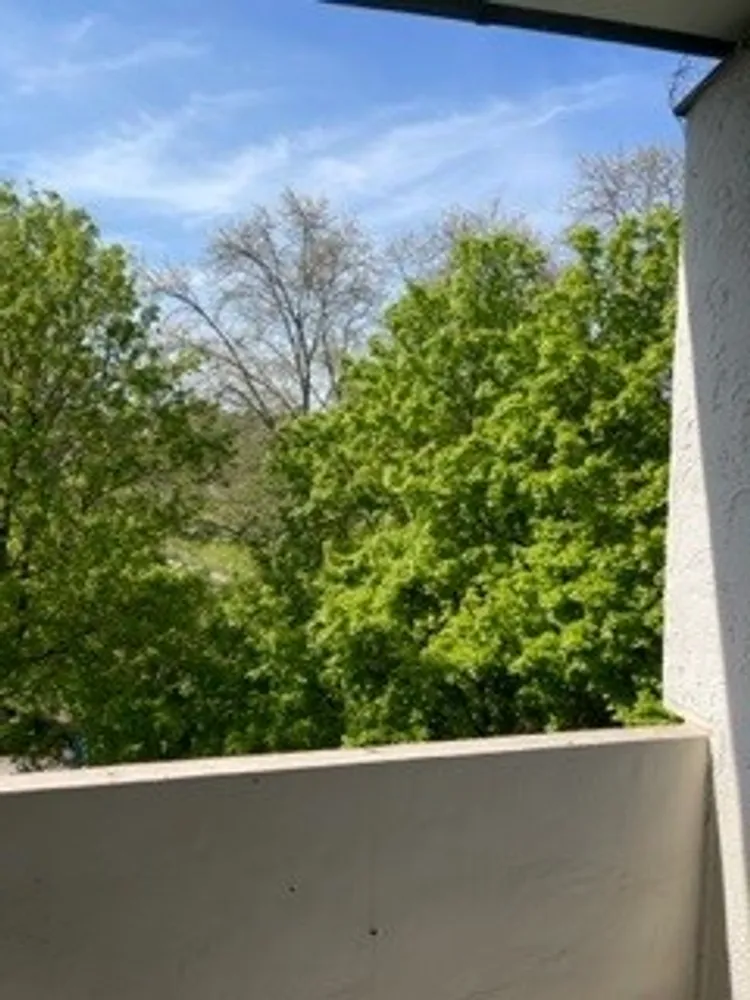 1 Zimmer Wohnung mit 39 m² in Mainz – Bild 1