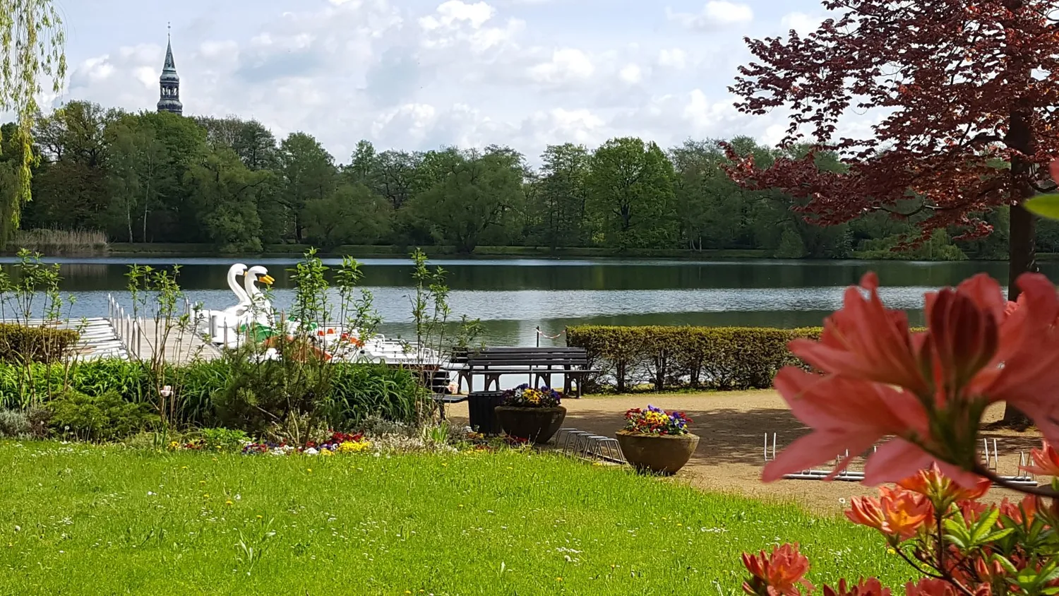 1 room apartment with 36 m² in Zwickau – Photo 4