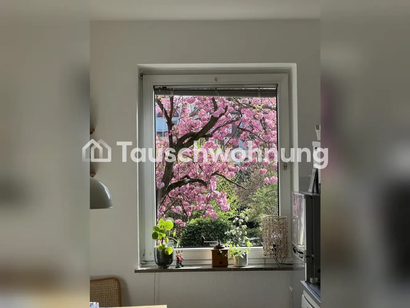 3 room apartment with 70 m² in Münster – Photo 3