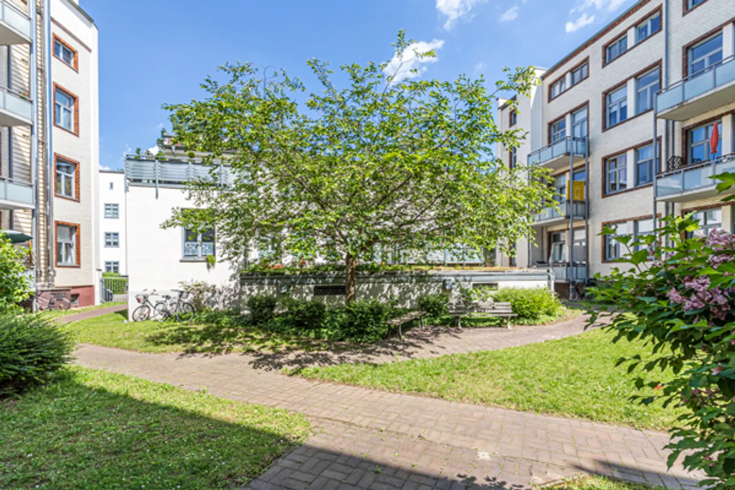 2 room apartment with 70 m² in Magdeburg – Photo 7