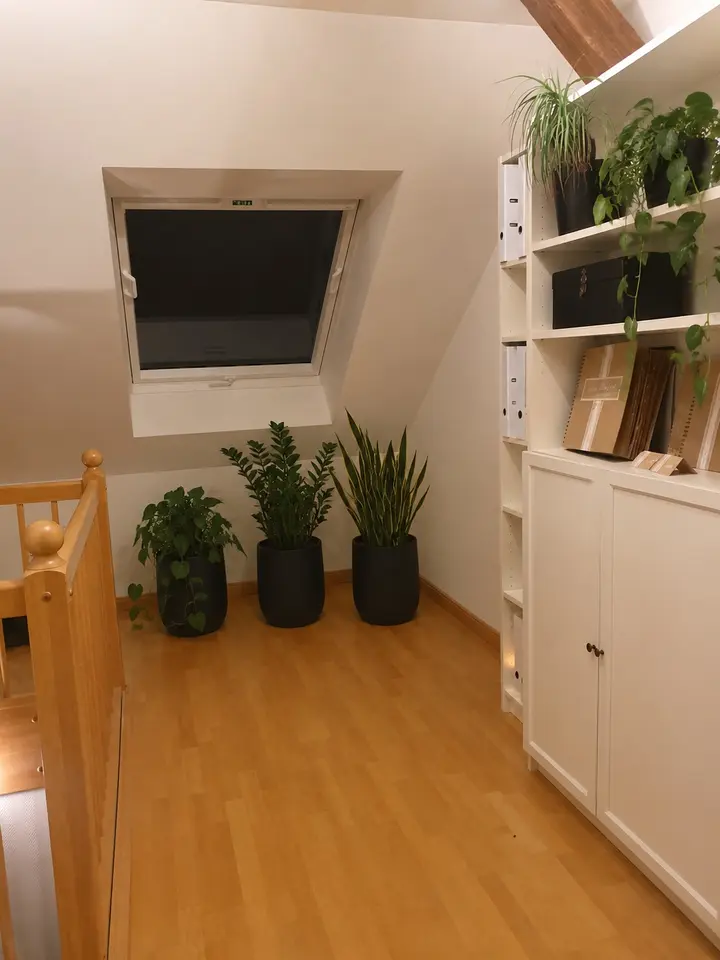 3 Zimmer Wohnung mit 143 m² in Dresden – Bild 7