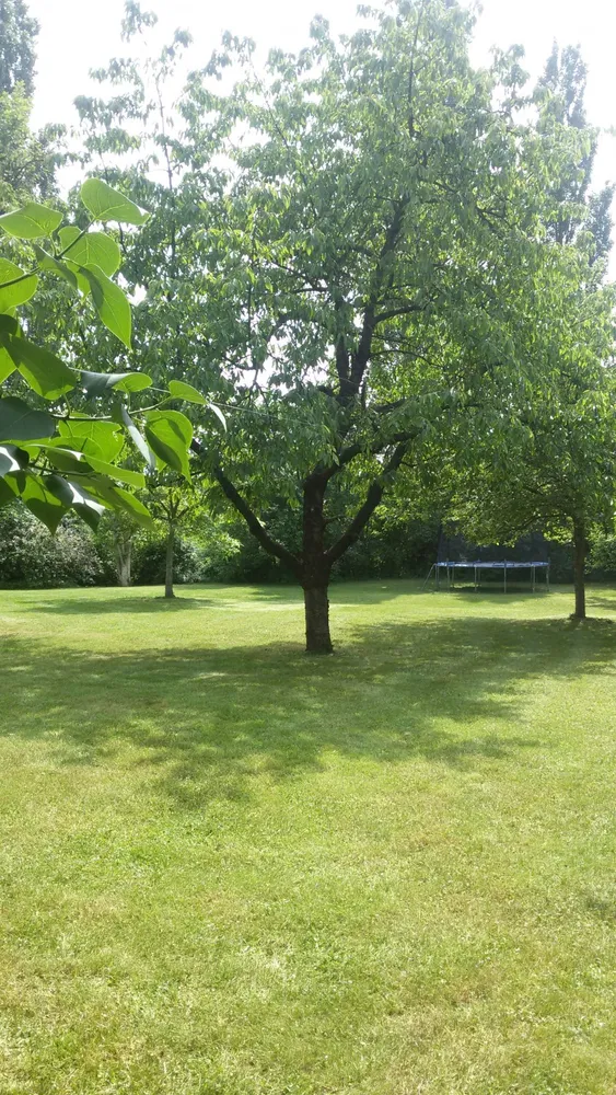 1 room apartment with 30 m² in Radebeul – Photo 3