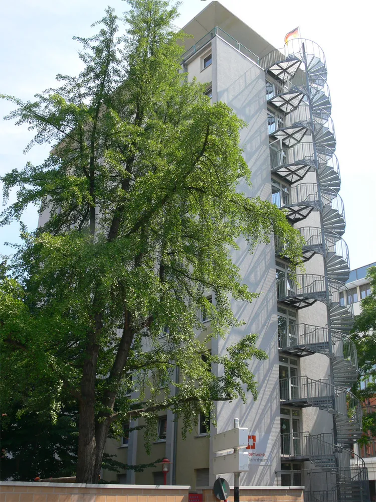 1 Zimmer Wohnung mit 25 m² in Mannheim – Bild 1