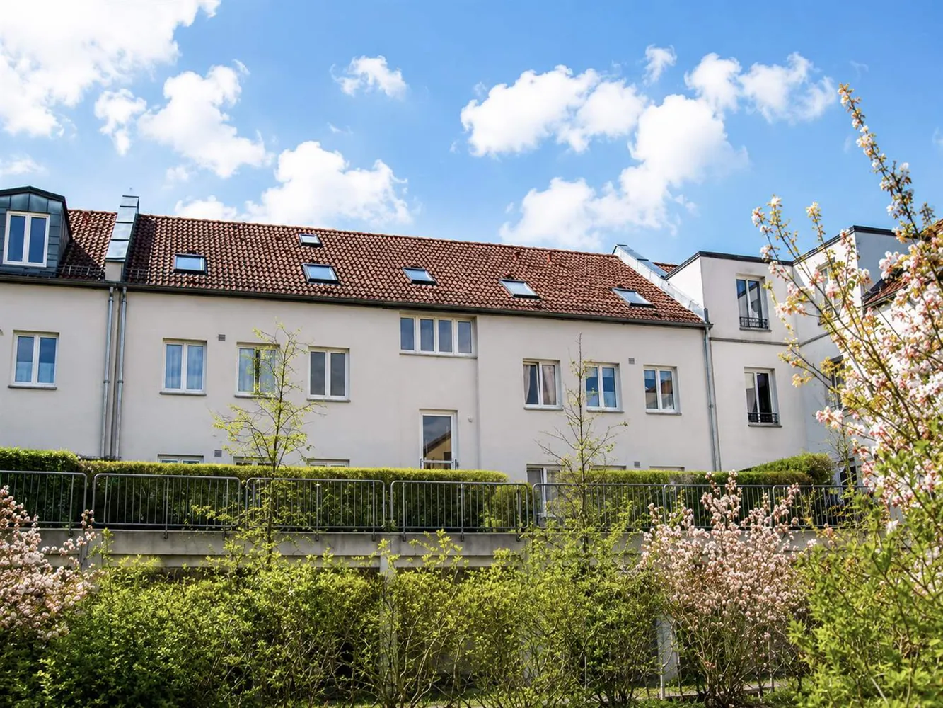 2 room apartment with 50 m² in Potsdam – Photo 3