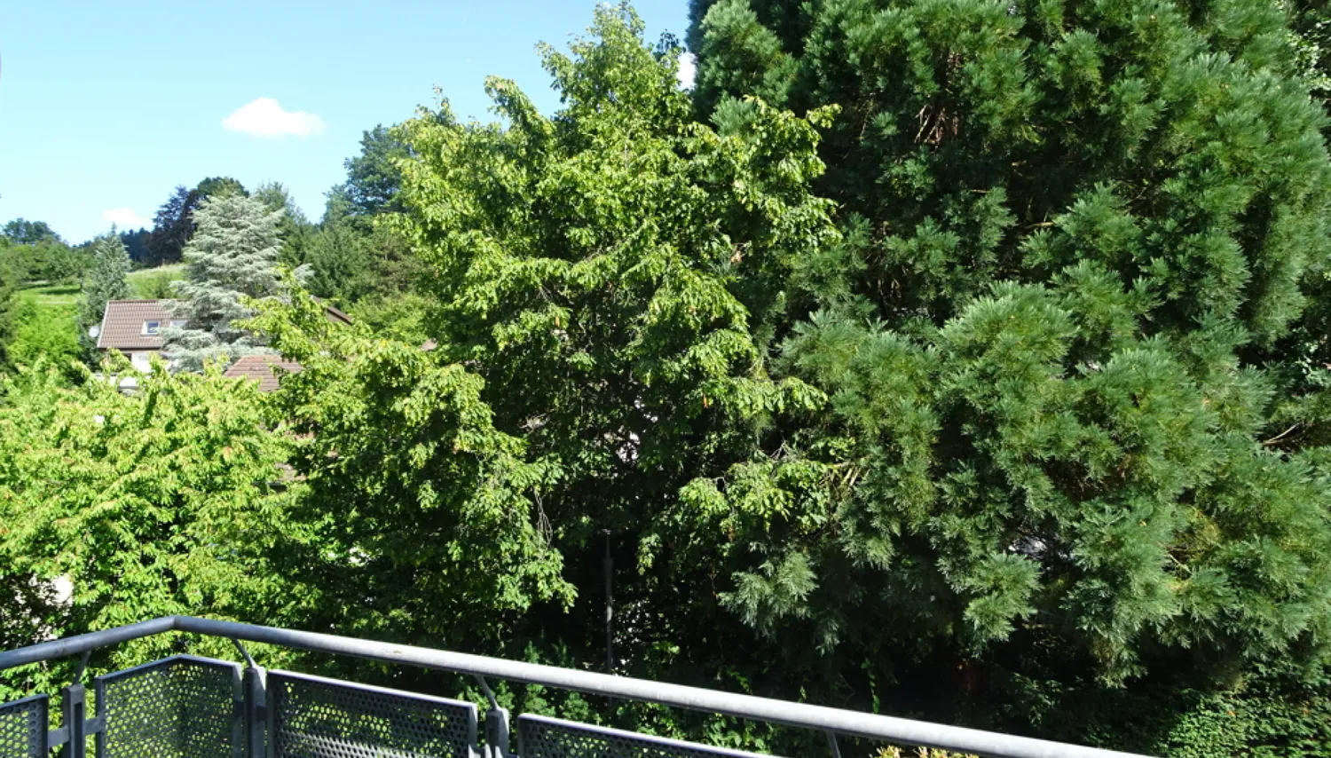 4 room apartment with 93 m² in Heidelberg – Photo 5