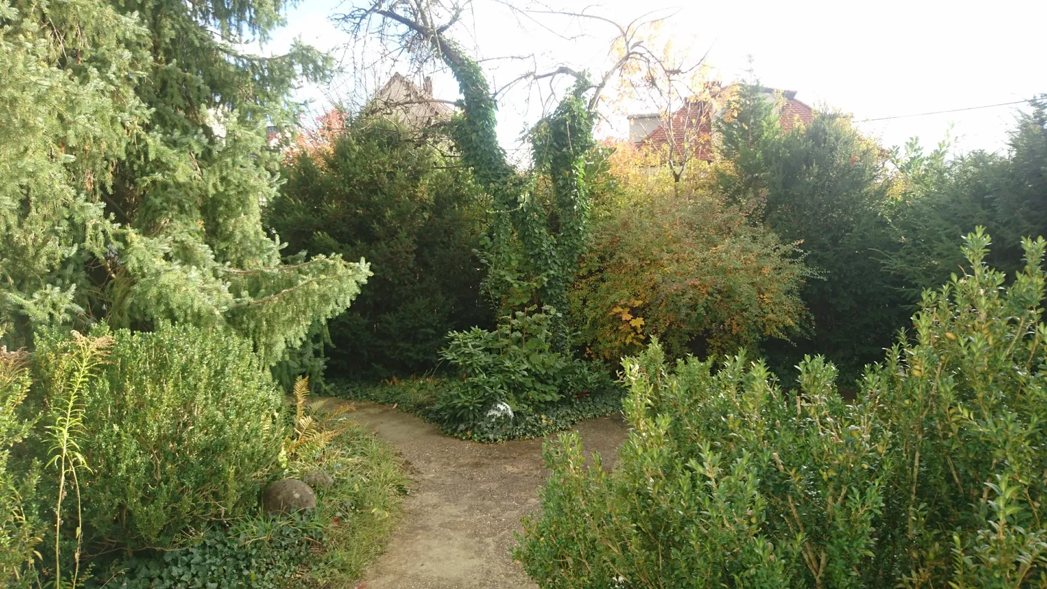 2 room apartment with 62 m² in Munich – Photo 10