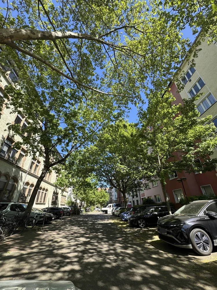 3 Zimmer Wohnung mit 99 m² in Mainz – Bild 3