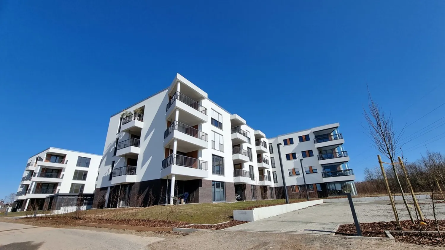 1 room apartment with 56 m² in Brunswick – Photo 7