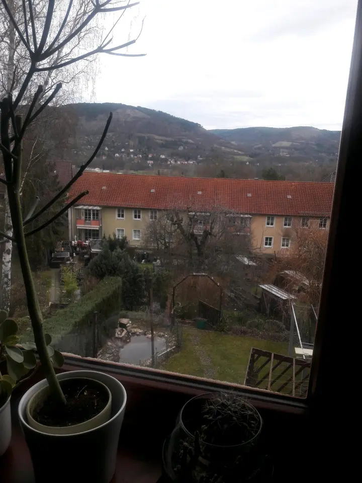 WG-Zimmer mit 18 m² in Rudolstadt – Bild 3