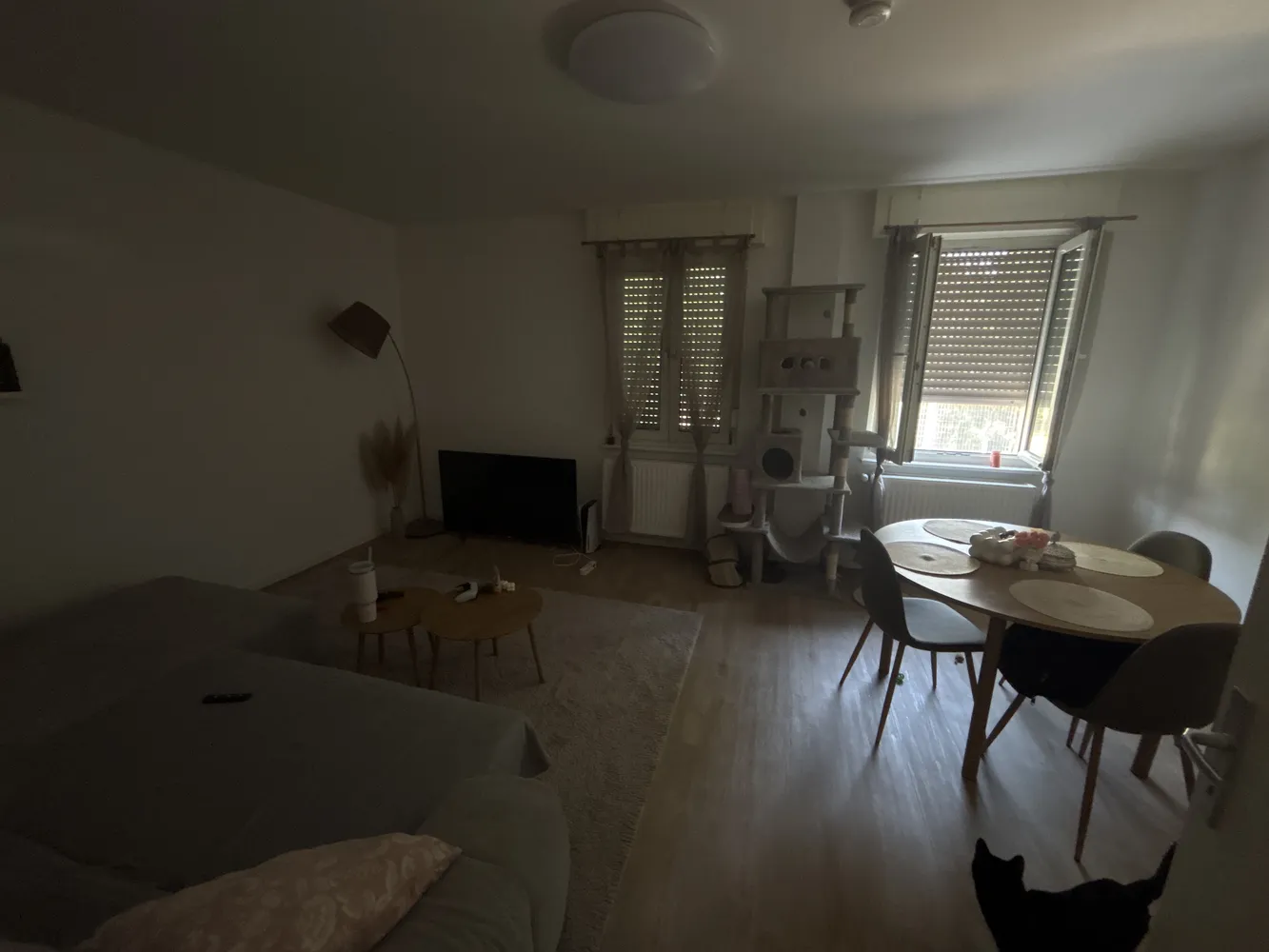 2 Zimmer Wohnung mit 65 m² in Mannheim – Bild 1