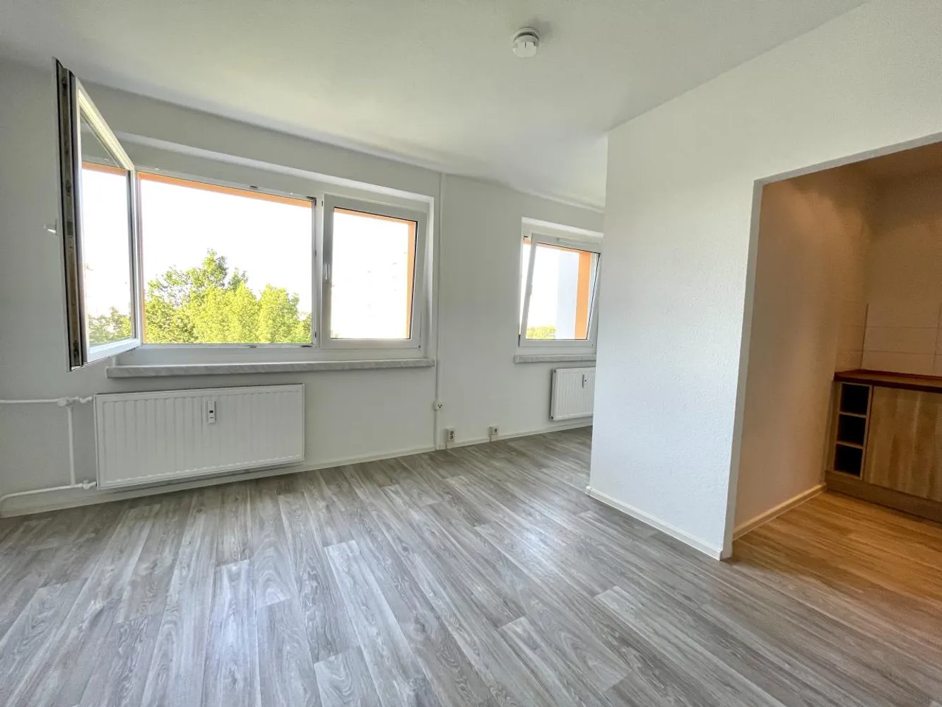 1 room apartment with 32 m² in Chemnitz – Photo 5