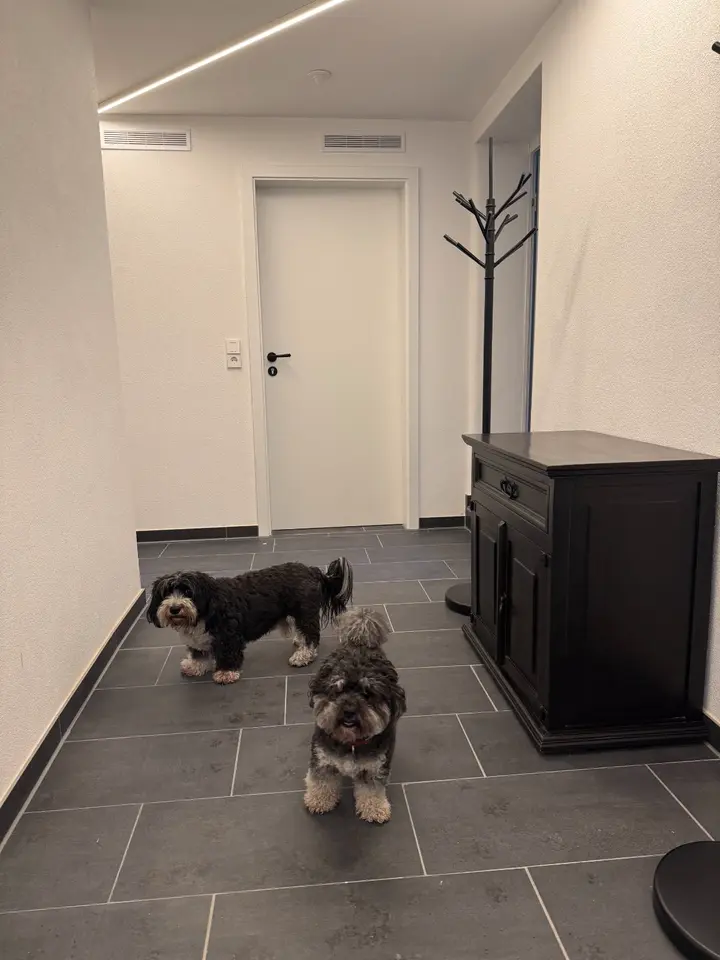 2 Zimmer Wohnung mit 20 m² in Hof – Bild 8